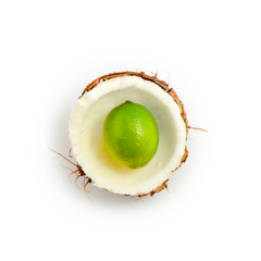 COCONUT LIME WHIPPED SUGAR SCRUB